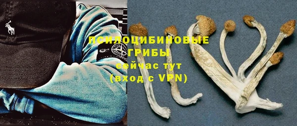 шишки Красноперекопск