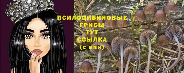 PSILOCYBIN Краснослободск