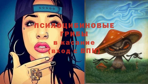 гидра Краснотурьинск
