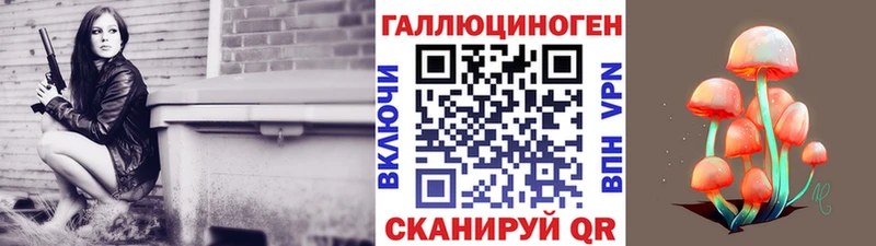 Галлюциногенные грибы GOLDEN TEACHER магазин Новосокольники